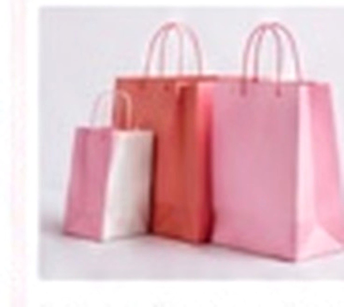 Multiracial shoppers with boutique bags